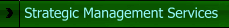 Strategic Management Services